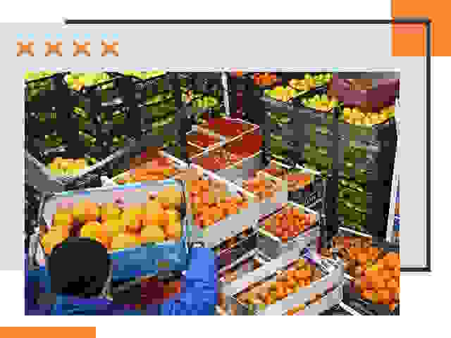 Перевозка скоропортящихся продуктов в донском